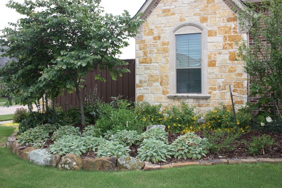 Frisco, Texas Landscaping Services