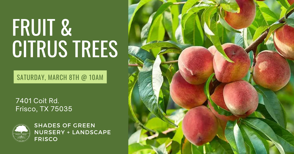 fruit trees