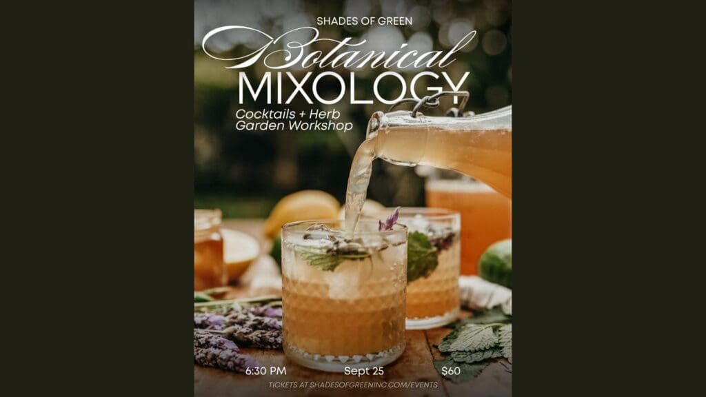 mixology