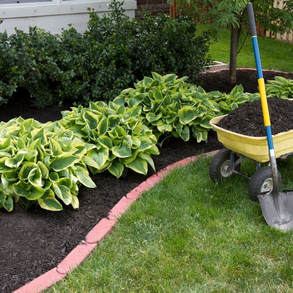 Frisco, Texas Landscaping Services