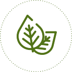 Leaf-Dotted-Border